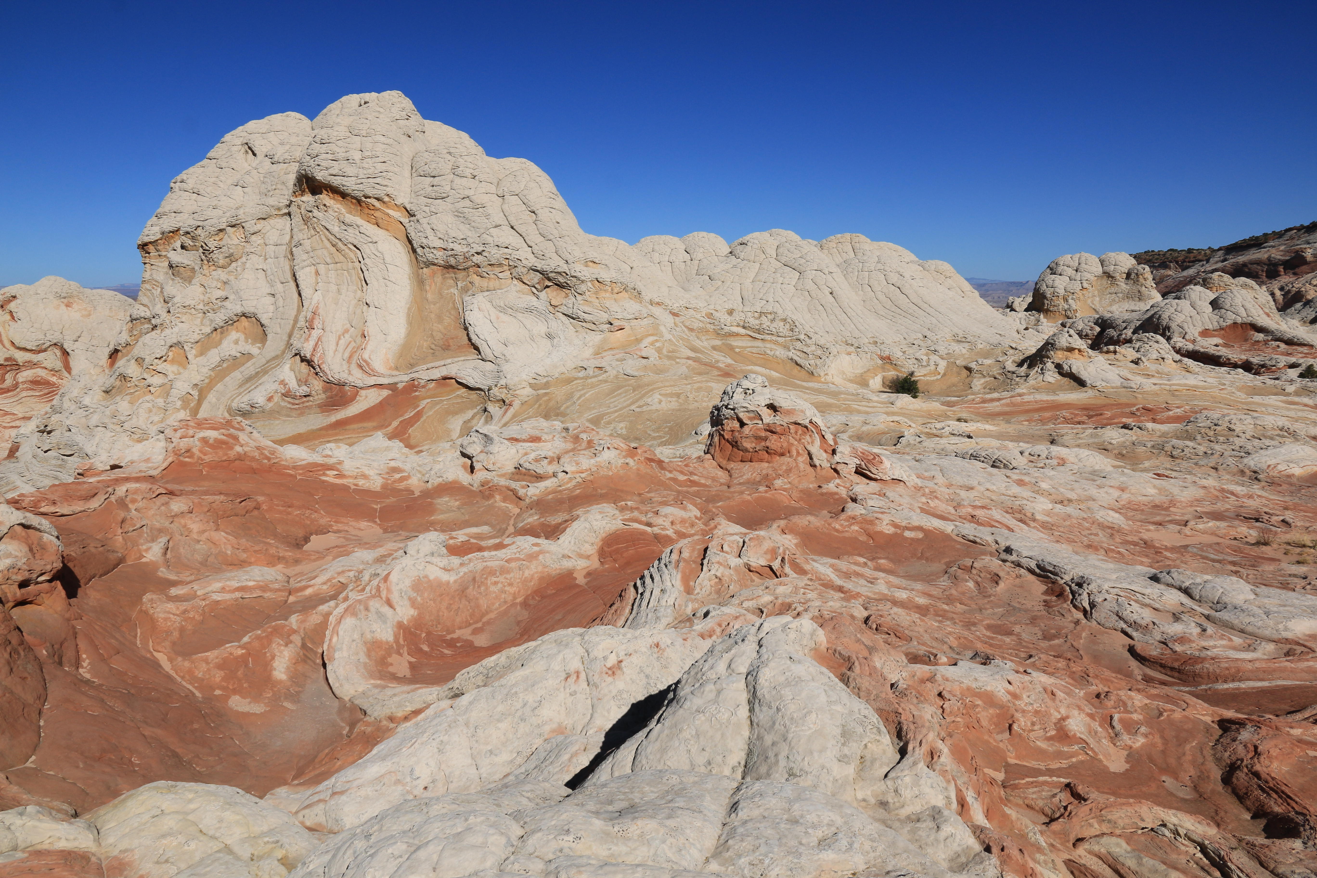 Vermillion Cliffs NM